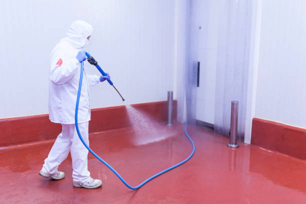 Boat and Dock Cleaning in Leonia, NJ